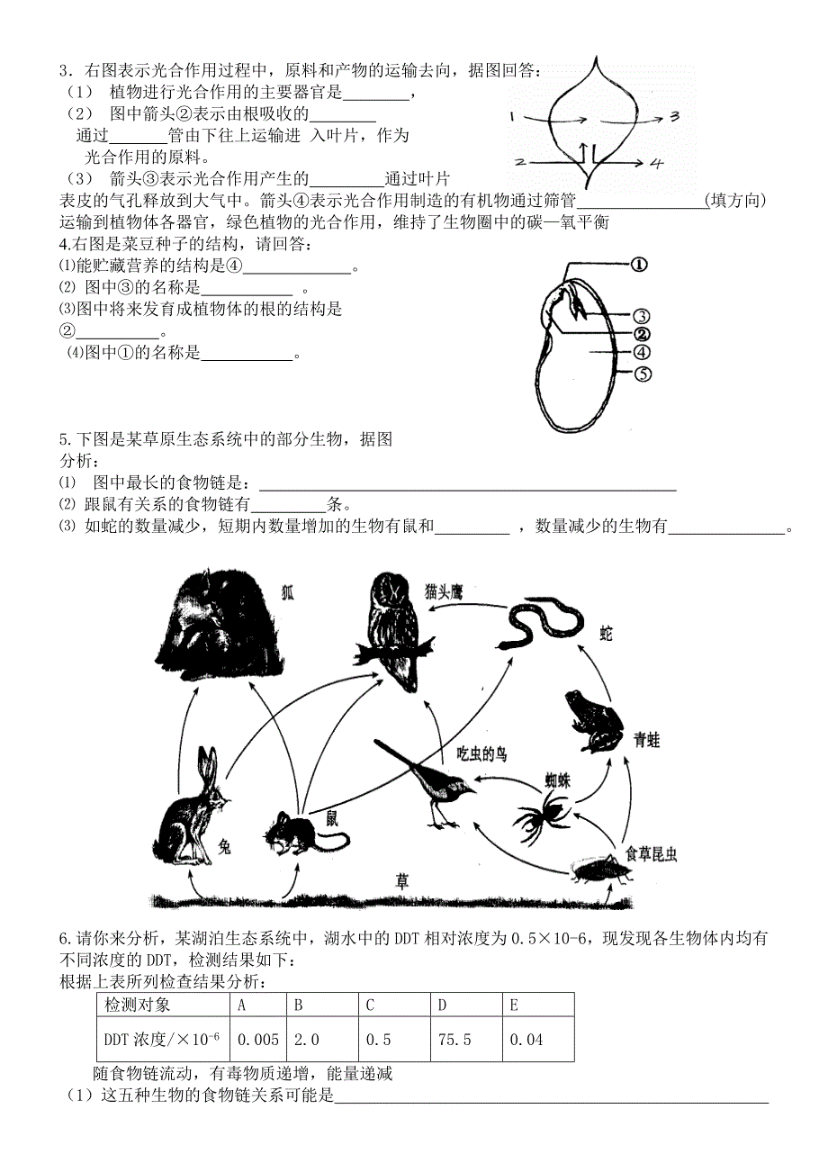 人教版七年级上册生物期末考试试卷及答案.doc_第4页