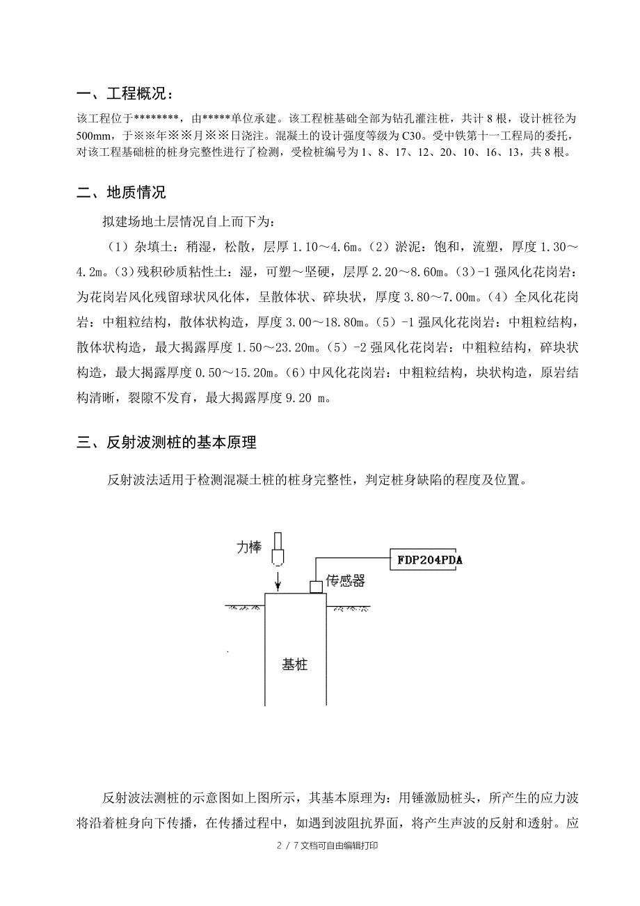 桩基低应变检测报告_第2页