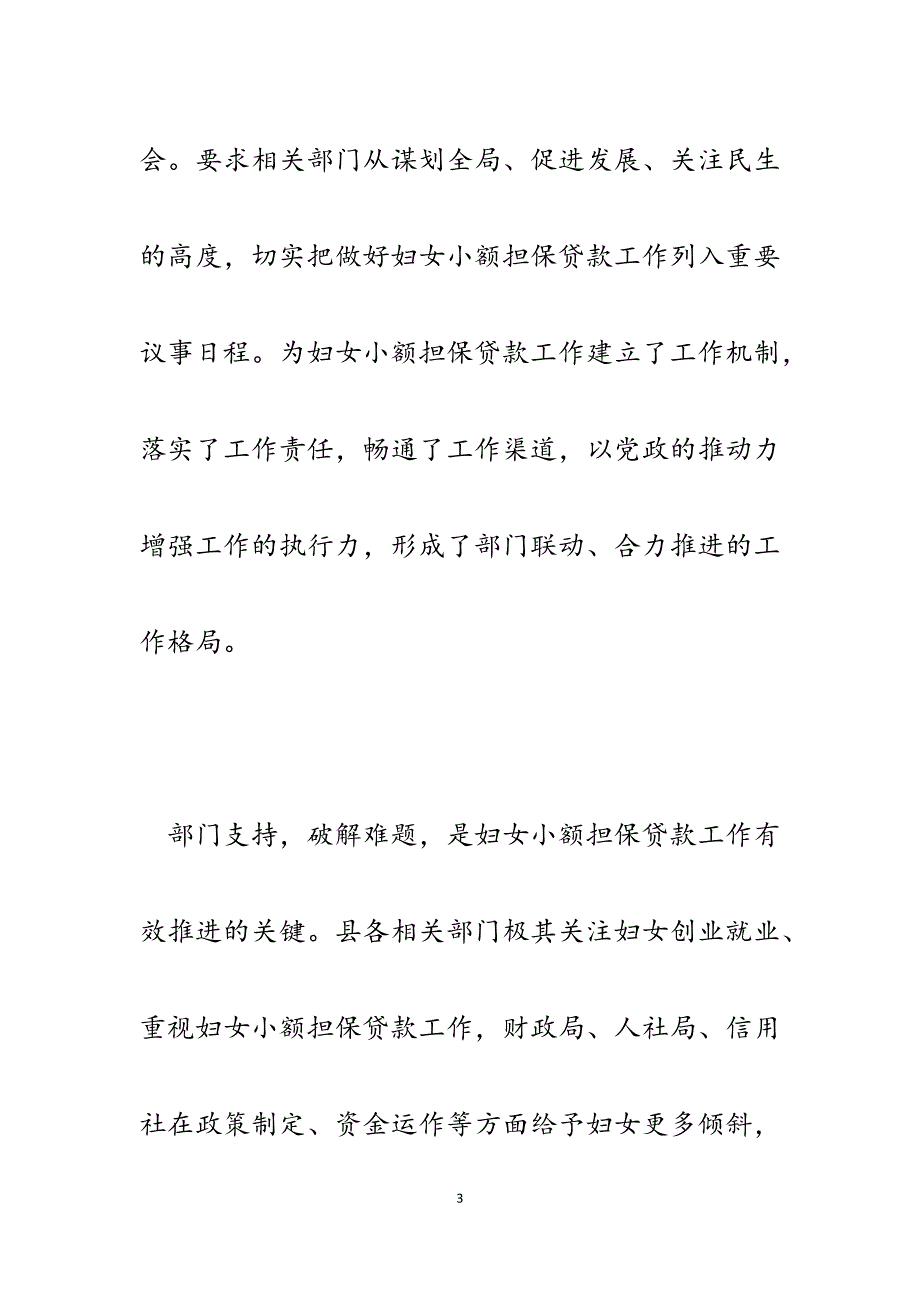 2023年落实妇女小额担保贴息贷款政策汇报材料.docx_第3页