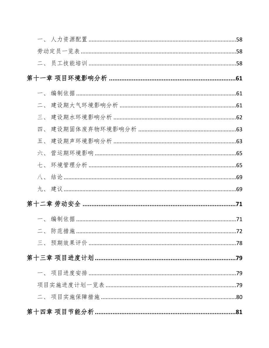 年产xxx千件火花塞项目可行性分析报告(DOC 89页)_第5页