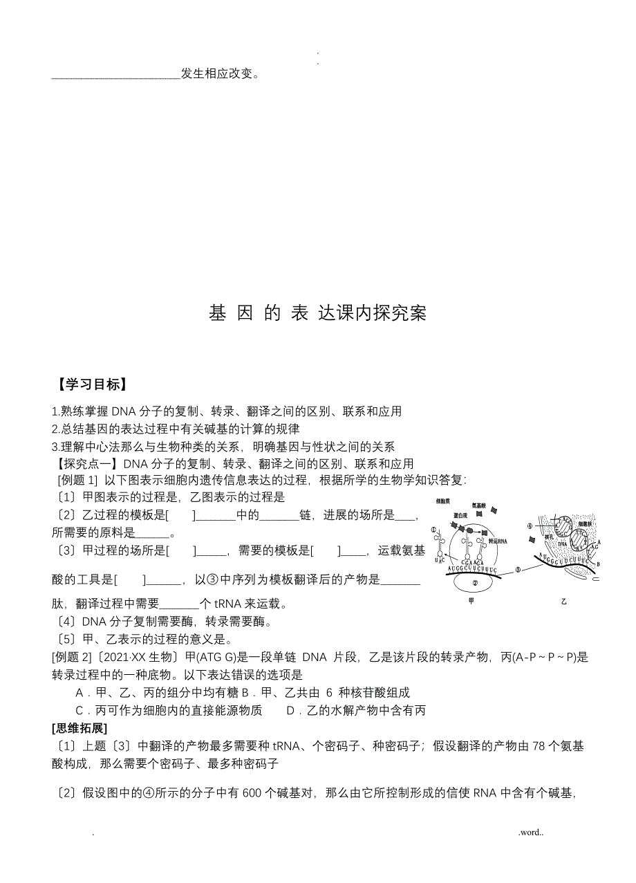 基因的表达学案及答案_第4页