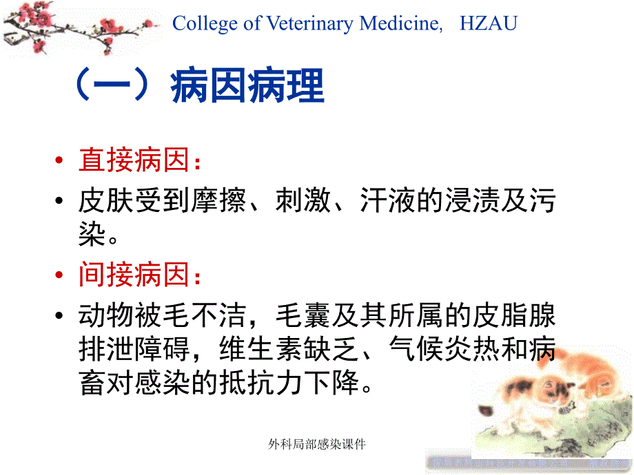 外科局部感染课件_第3页