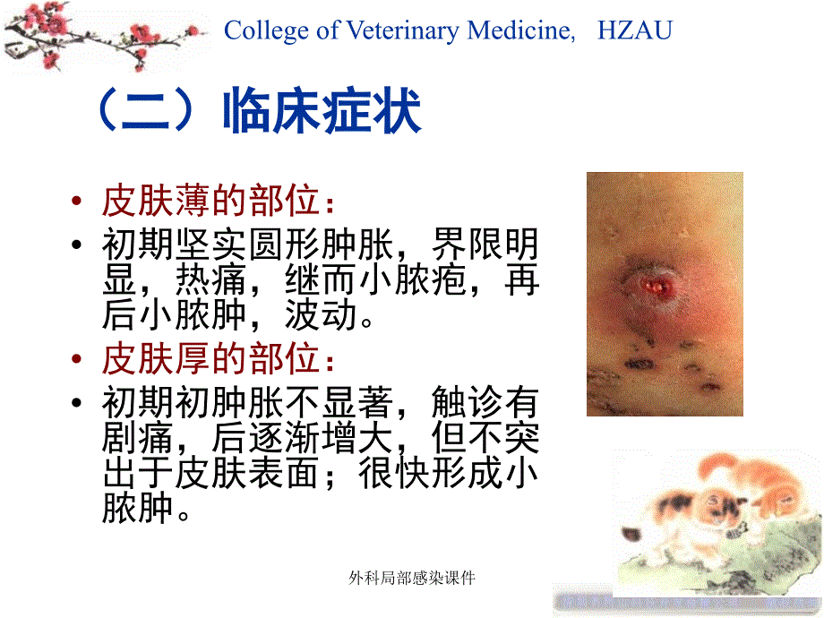 外科局部感染课件_第4页