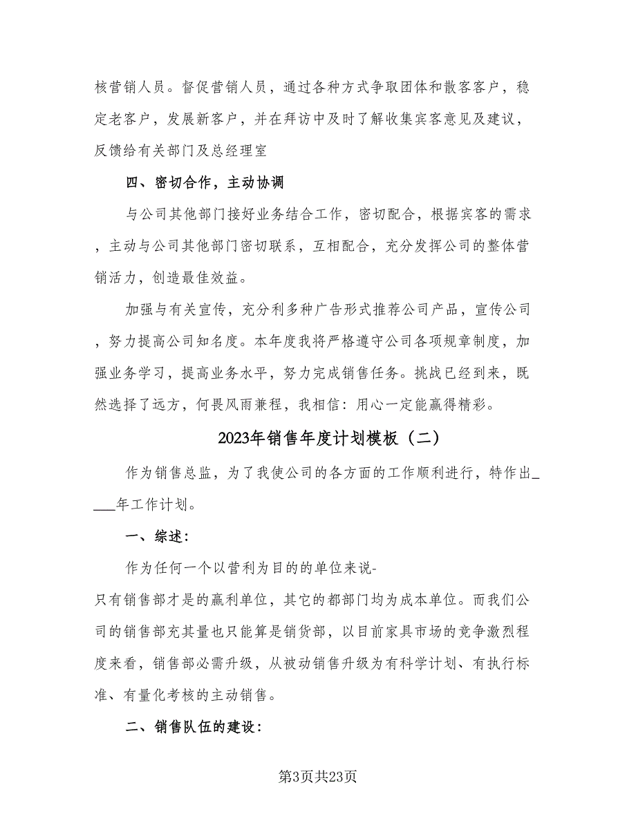 2023年销售年度计划模板（六篇）_第3页