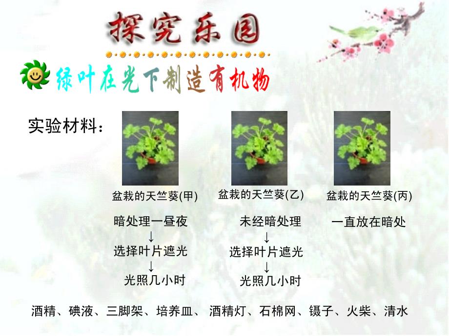 绿色植物是生物圈中有机物的制造者_第3页