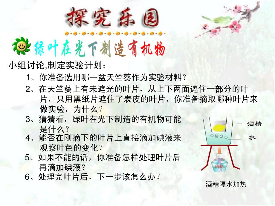 绿色植物是生物圈中有机物的制造者_第4页