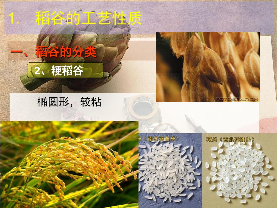 项目三米制食品加工_第3页