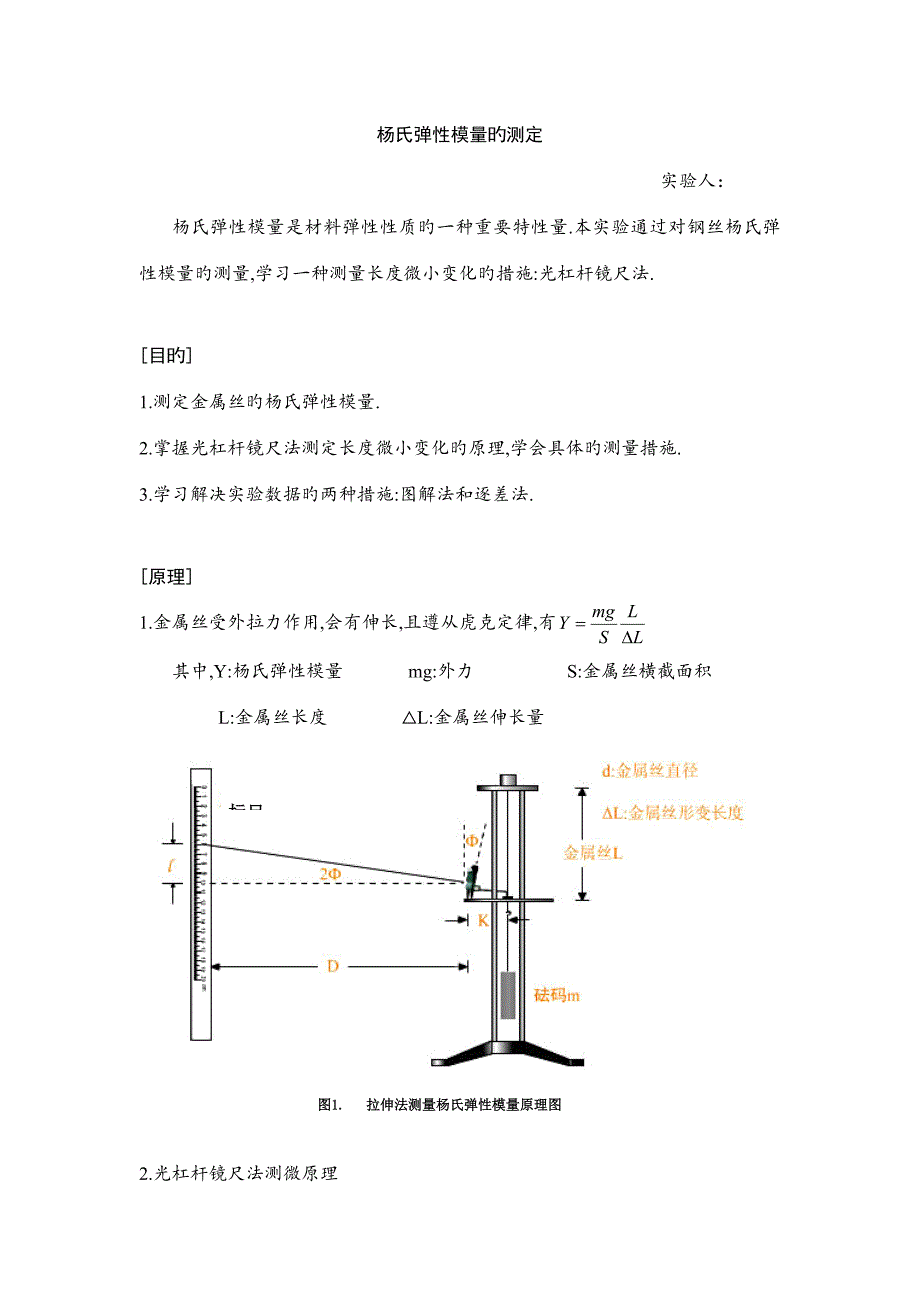 2022传统的杨氏弹性模量实验报告_第1页