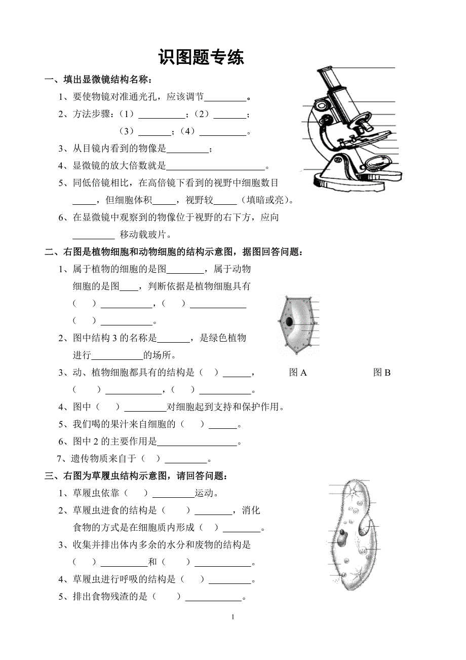 初中生物识图专练.doc_第1页