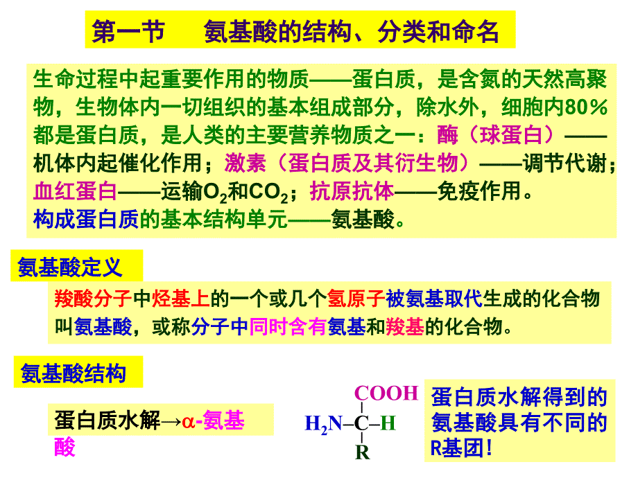 有机化学：第二十章氨基酸、多肽、蛋白质和核酸_第2页