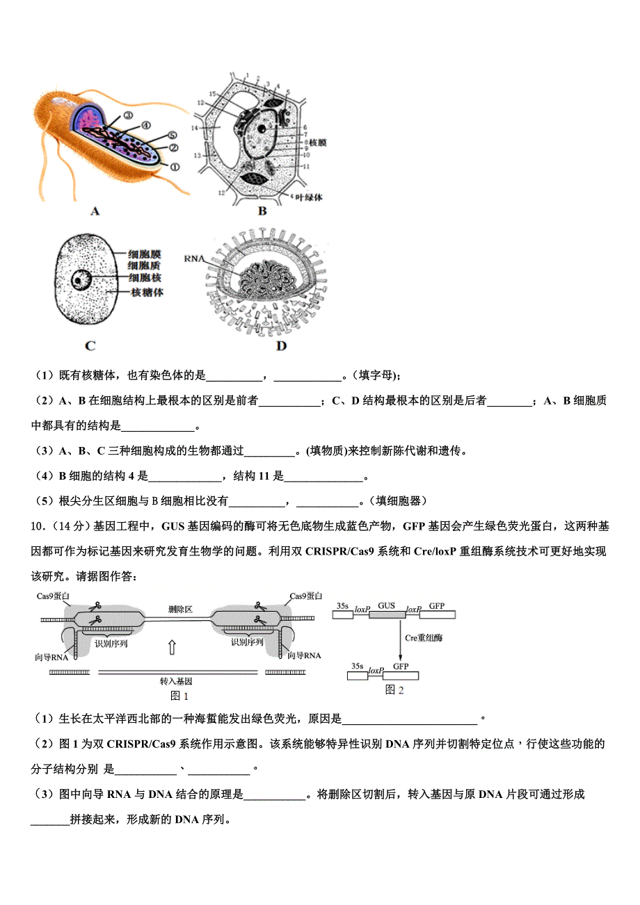 贵州省毕节市黔西县树立中学2023学年生物高二下期末复习检测模拟试题（含解析）.doc_第3页