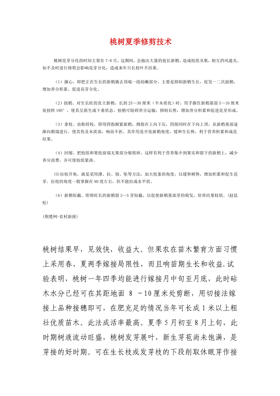 桃树夏季修剪技术_第1页