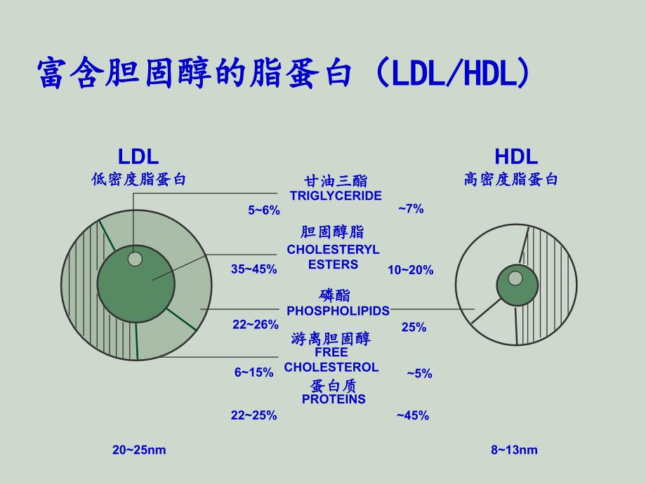 HDL基础与临床_第2页