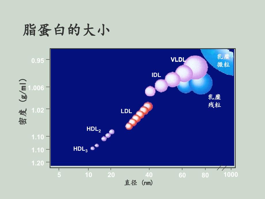 HDL基础与临床_第3页