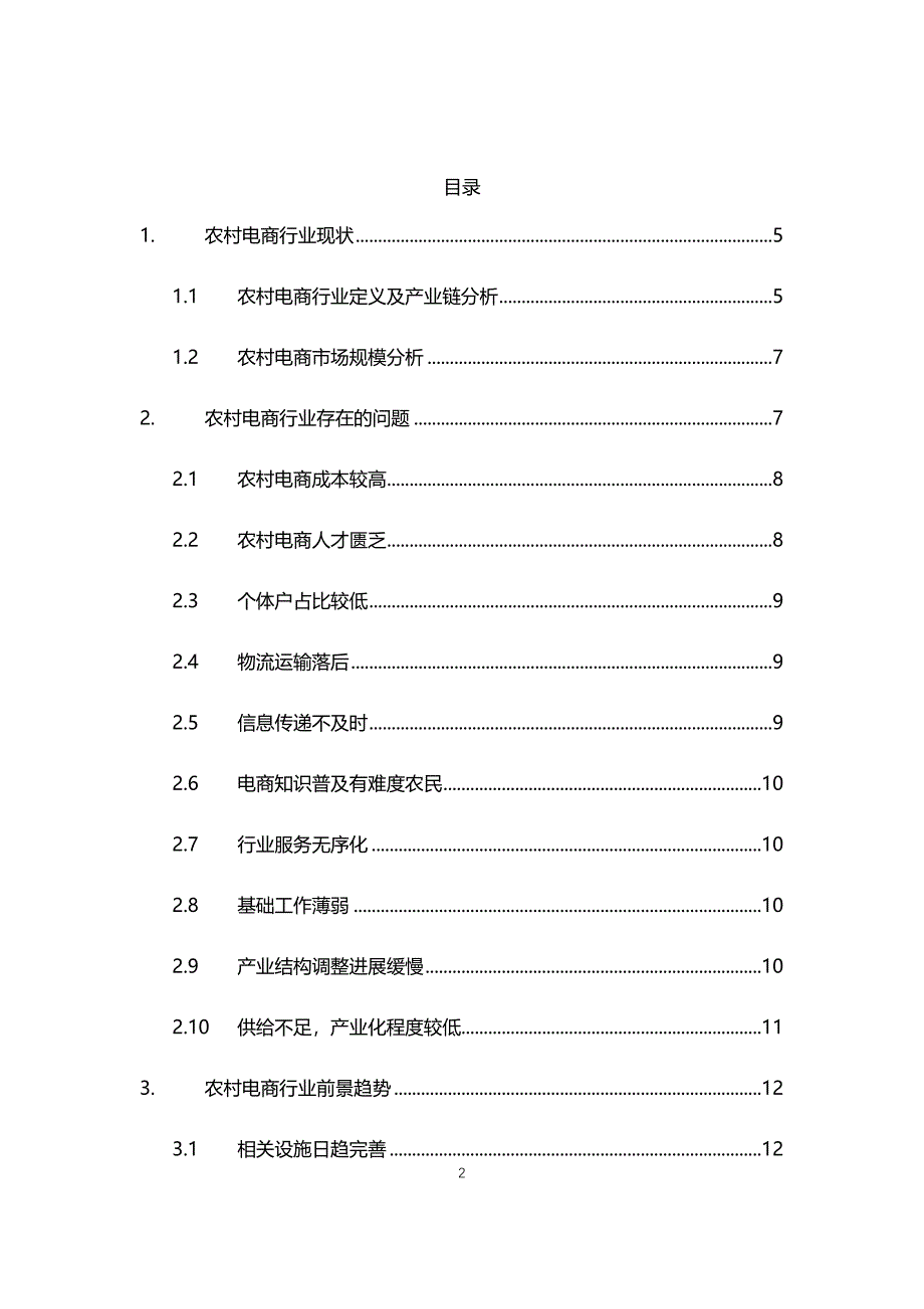 2021年农村电商行业现状与前景趋势分析报告_第2页