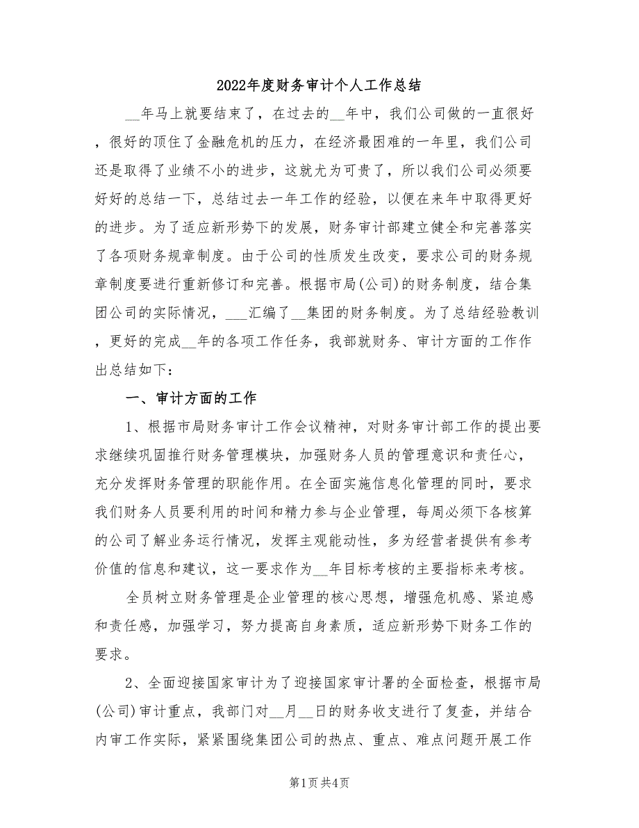 2022年度财务审计个人工作总结_第1页