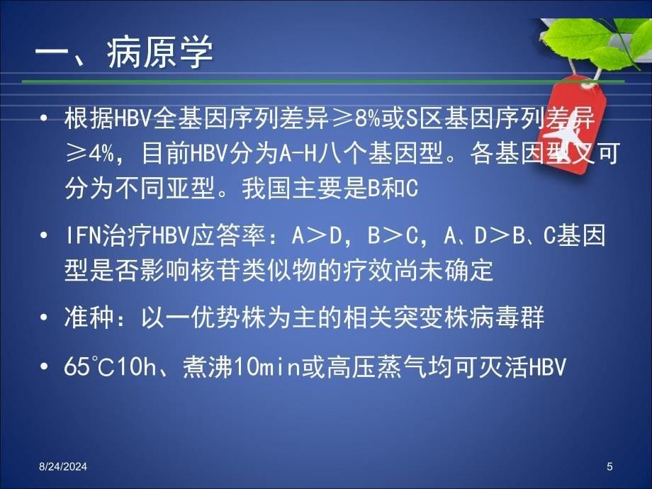 慢性乙肝诊治.ppt_第5页