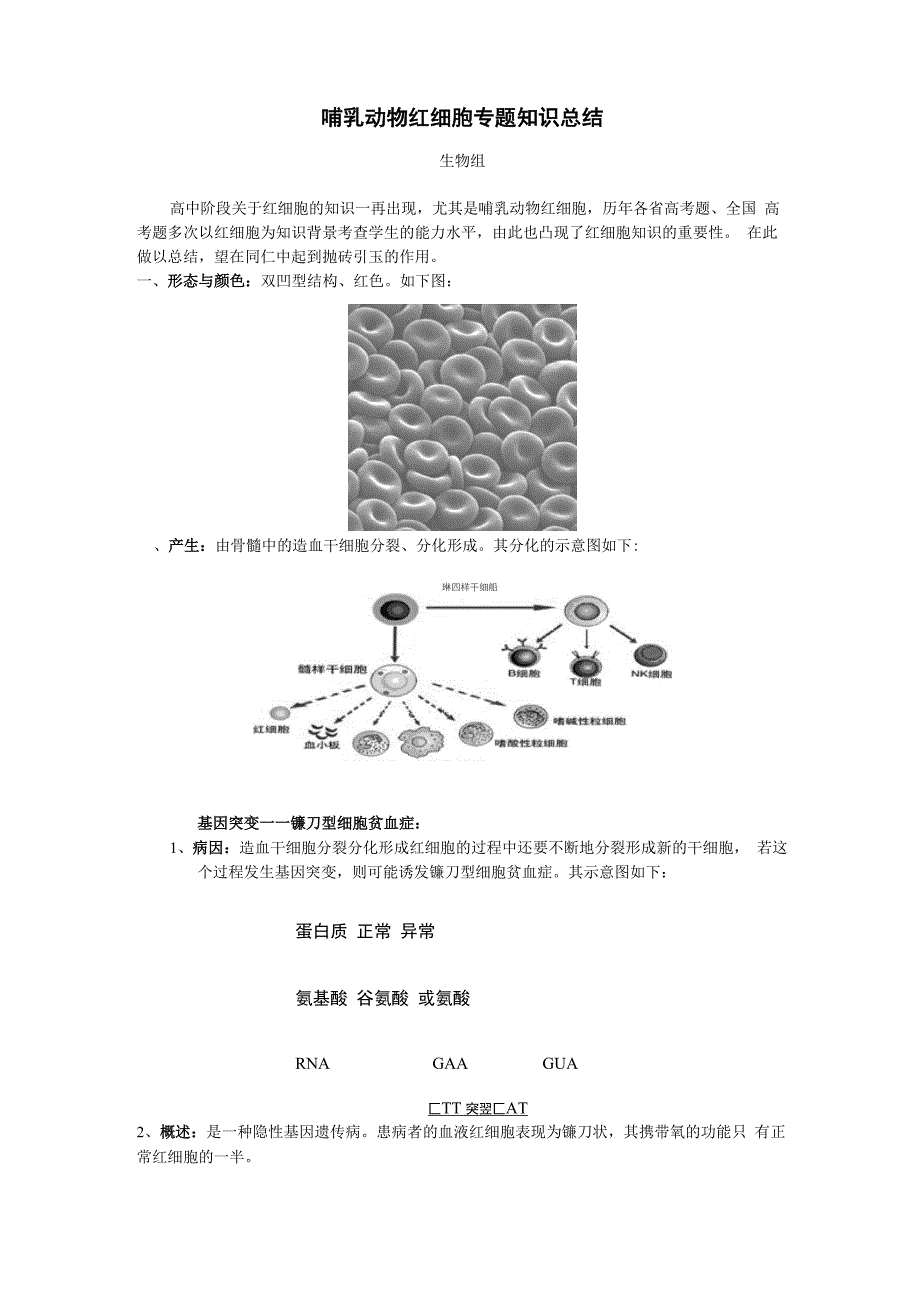 哺乳动物红细胞专题知识总结_第1页