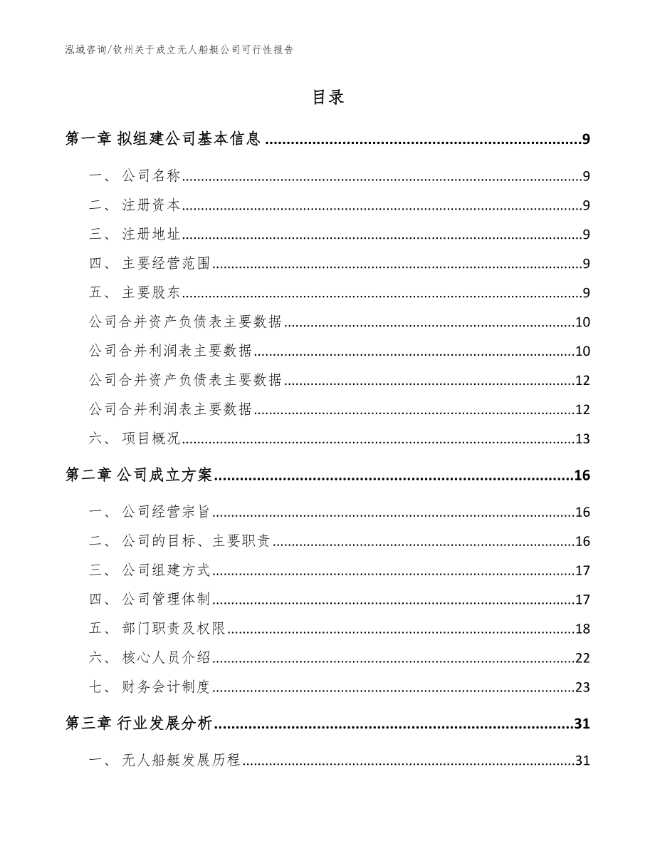 钦州关于成立无人船艇公司可行性报告（范文参考）_第2页