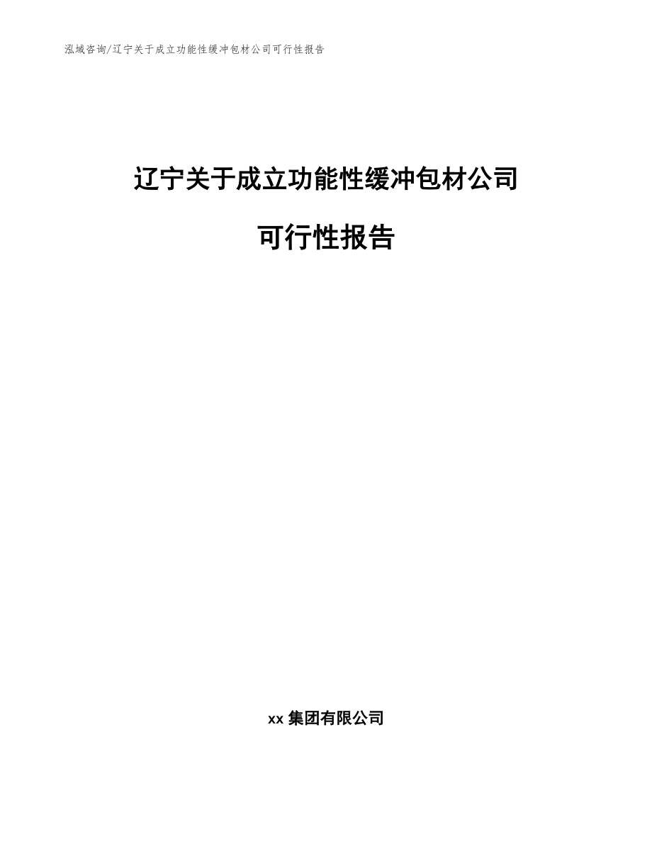 辽宁关于成立功能性缓冲包材公司可行性报告【参考范文】_第1页