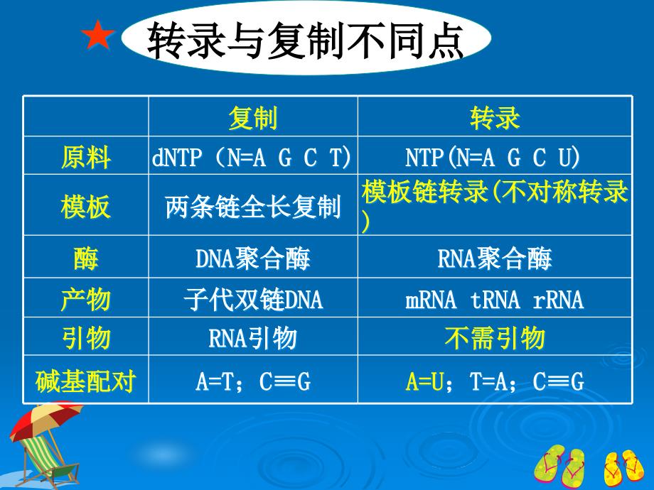 生物化学：第十六章 RNA的生物合成_第4页