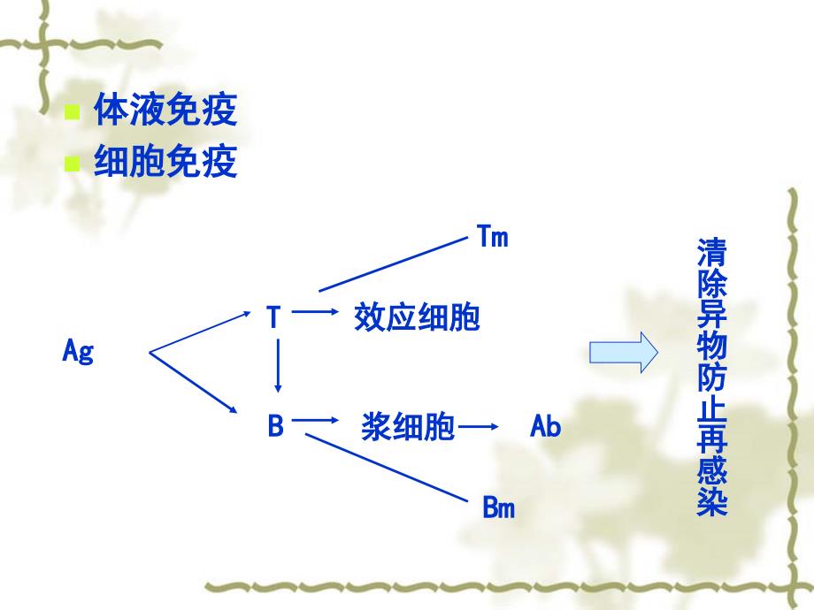 医学免疫学：第三章 抗原_第1页