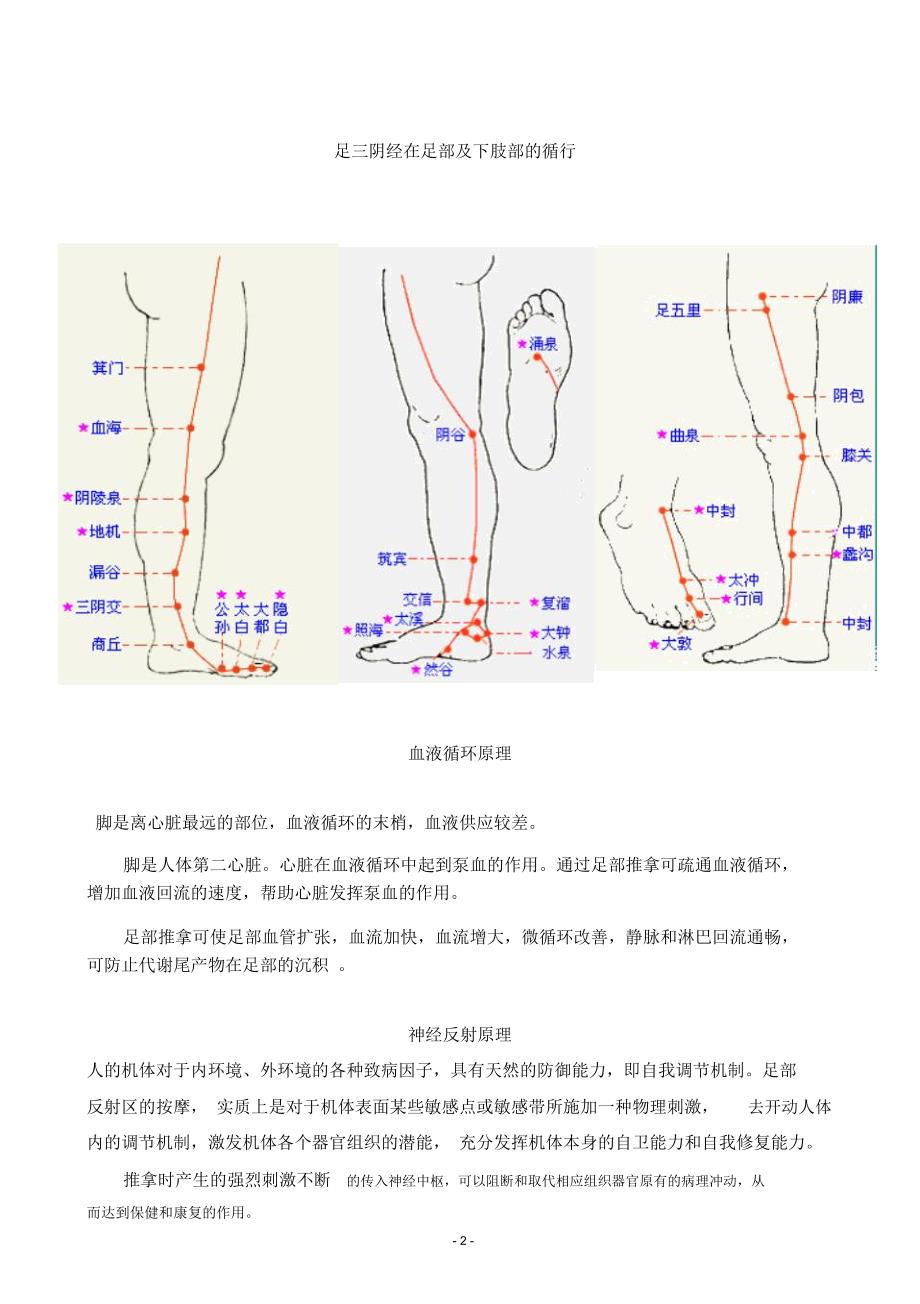 足疗理论基础精编版_第2页