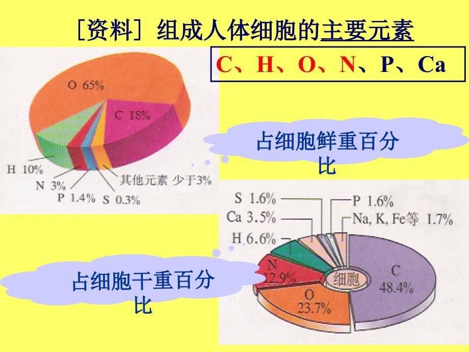 21细胞中的元素和无机化合物_第5页