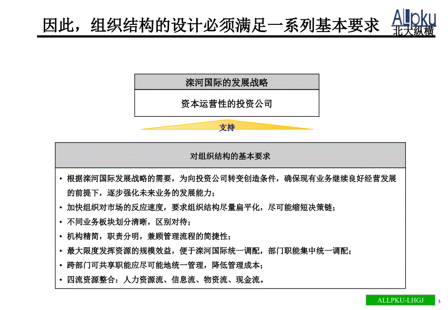 某公司组织管理体系设计方案_第4页