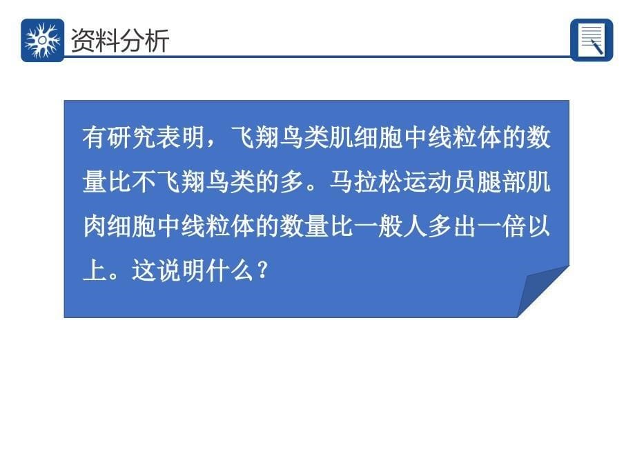 细胞器的亚显微结构和功能_第5页