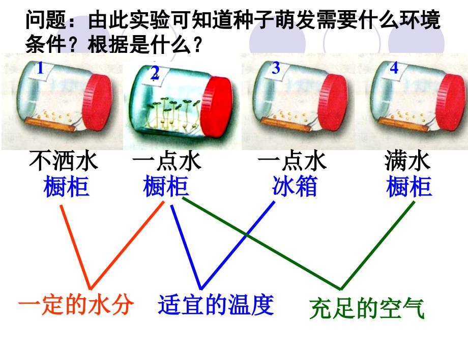 第一节种子的萌发_第5页