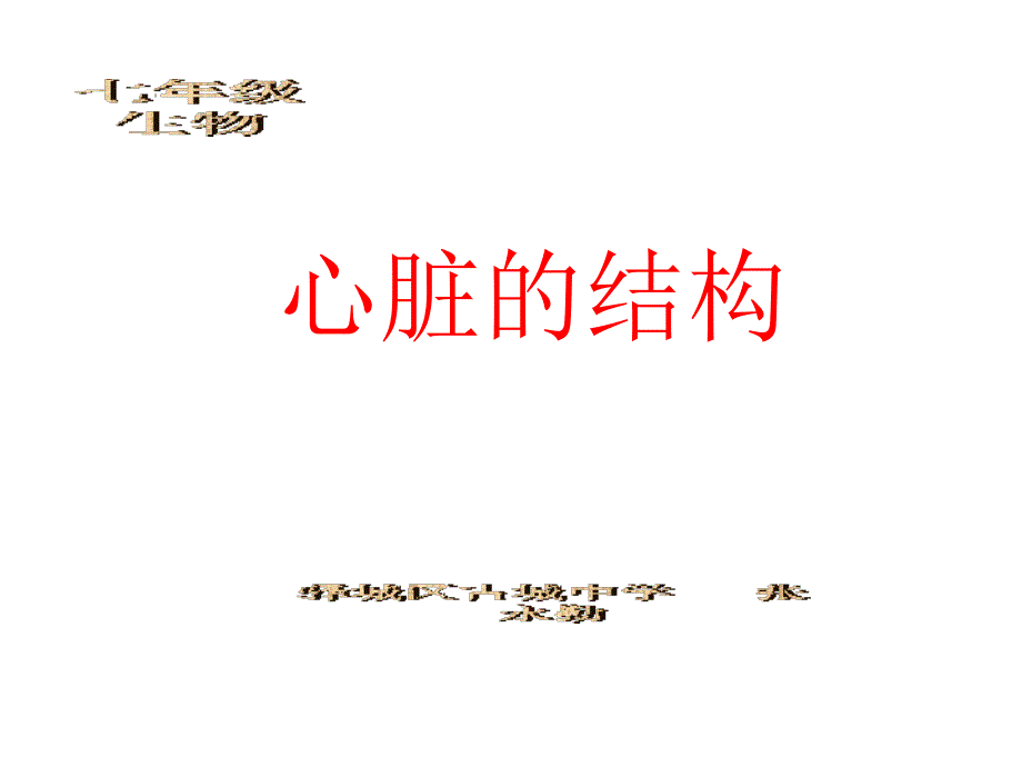 心脏的结构PPT_第1页