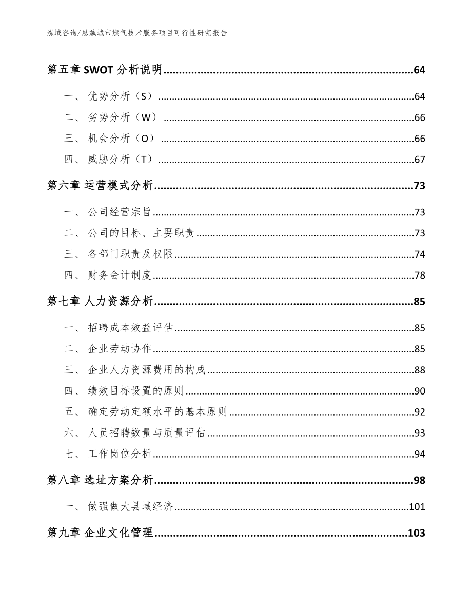 恩施城市燃气技术服务项目可行性研究报告参考范文_第4页