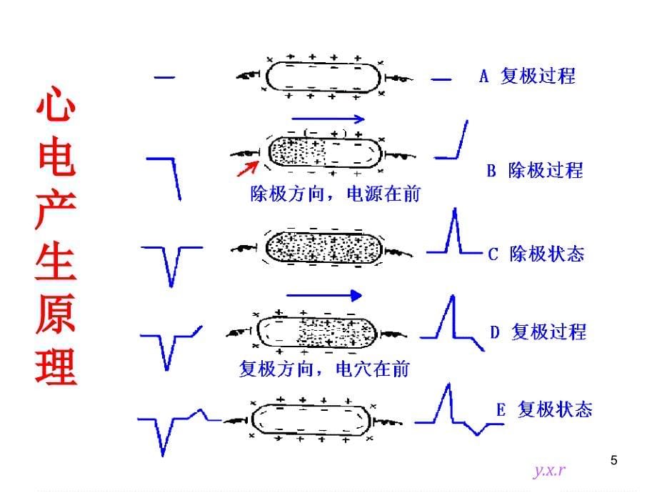 心电图基本知识_第5页