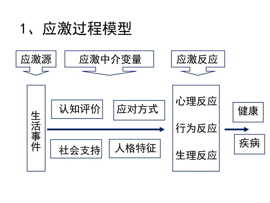 第三章应激4课件_第4页