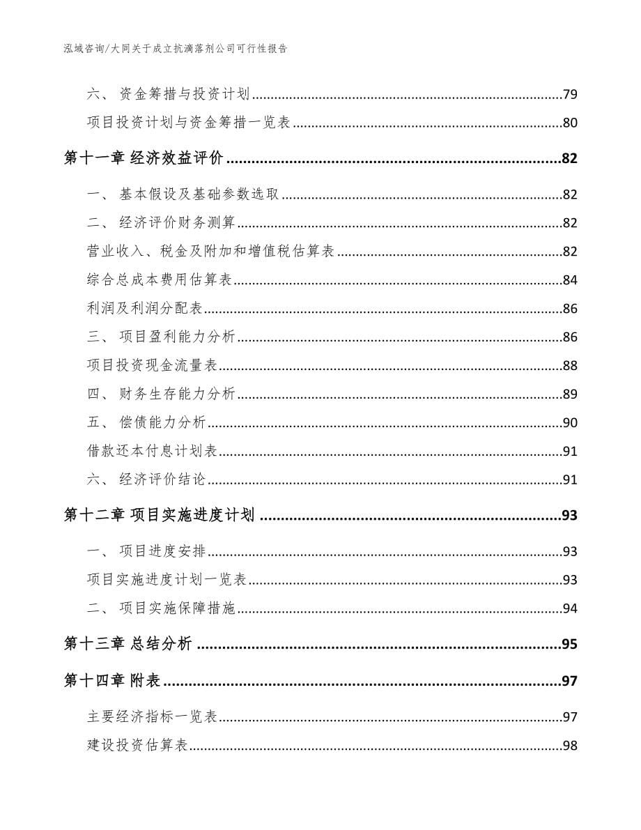 大同关于成立抗滴落剂公司可行性报告（范文）_第5页