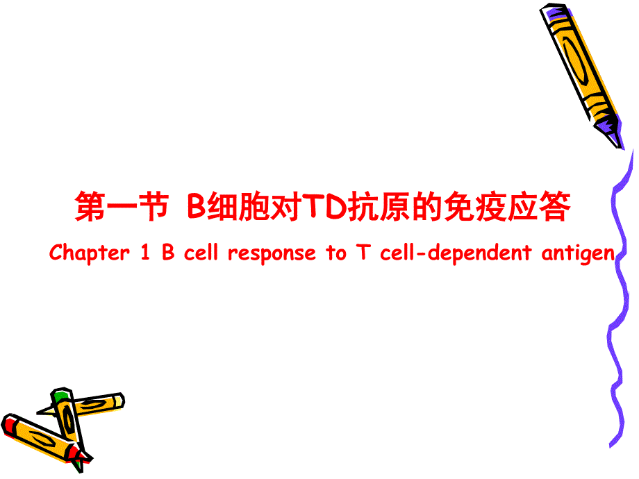 双语第十三章b淋巴细胞介导的体液免疫应答文档资料_第1页