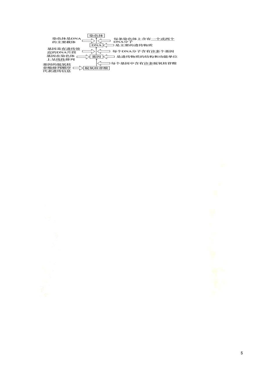 2021学年高中生物专题3.4基因是有遗传效应的DNA片段（讲）（基础版含解析）新人教版必修2_第5页