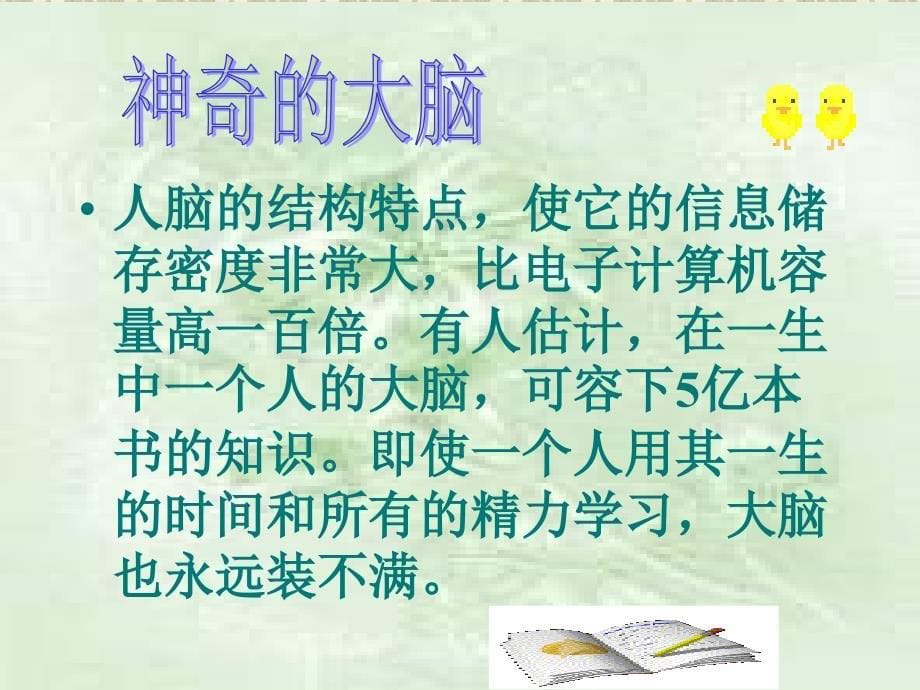 二框发现自己潜能_第5页