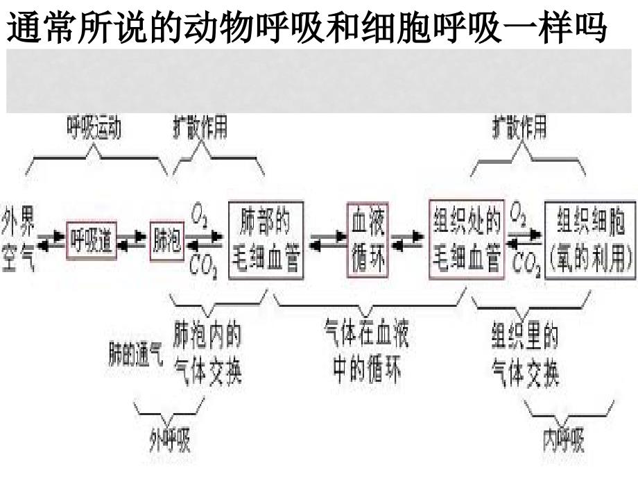 高一生物必修1 细胞呼吸2 课件_第2页