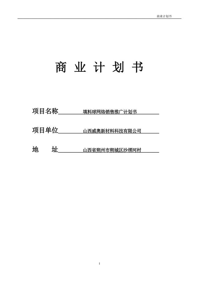 填料球网络销售推广可行性论证报告正文.doc
