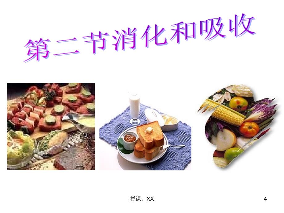 食物的消化过程(课堂PPT)_第4页