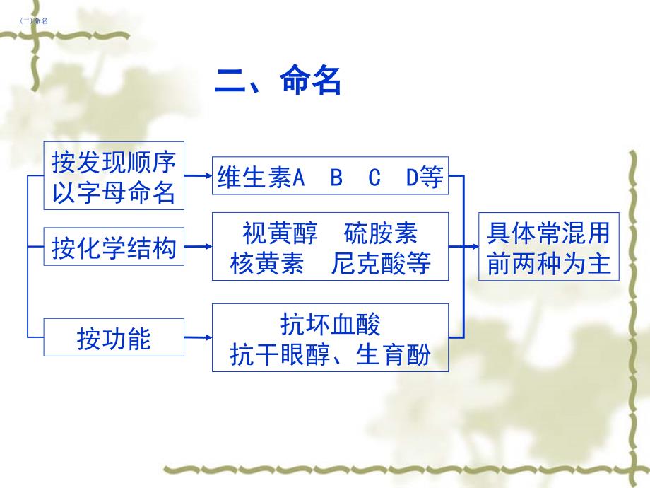 第八章 维生素BI_第4页