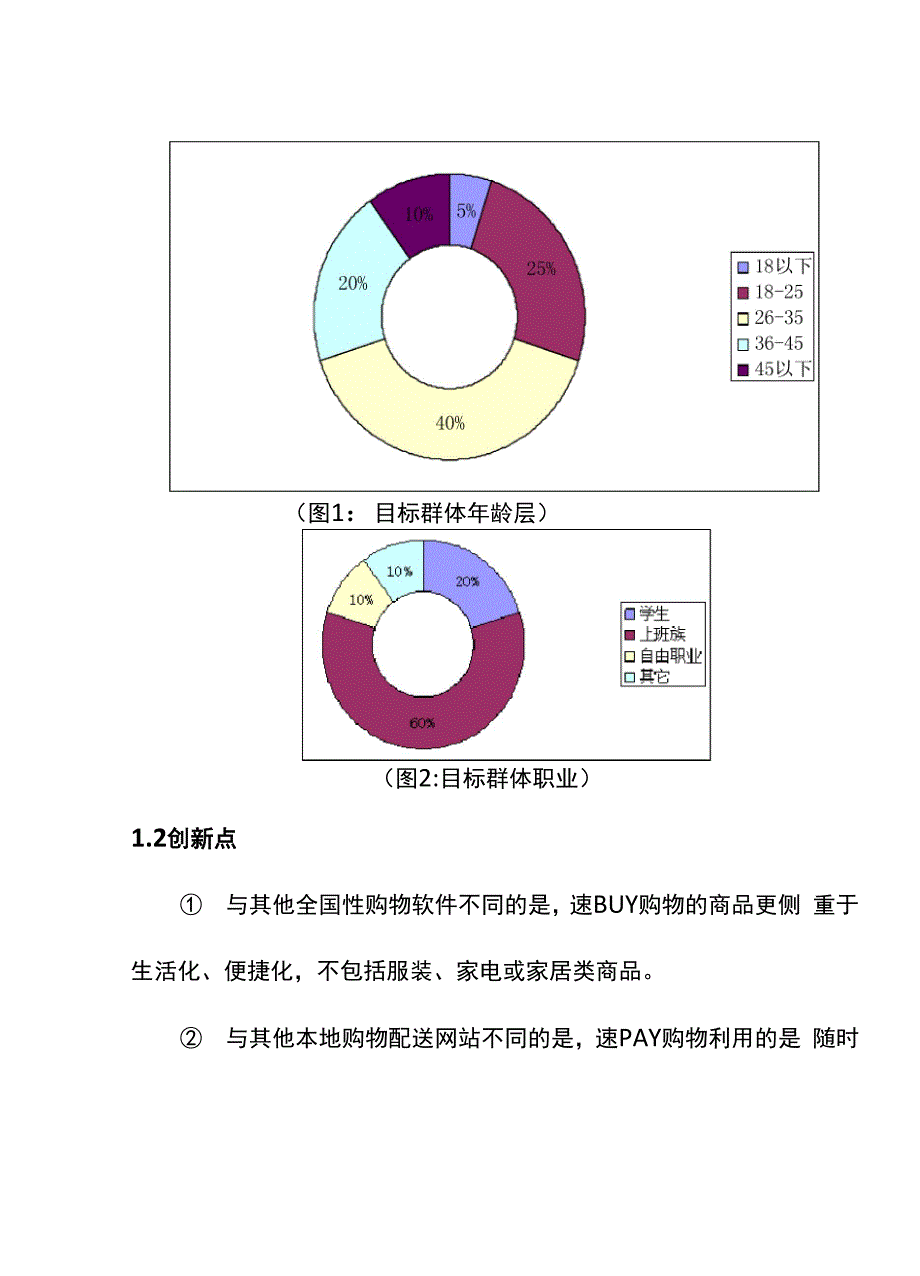 电商APP项目申报书_第3页