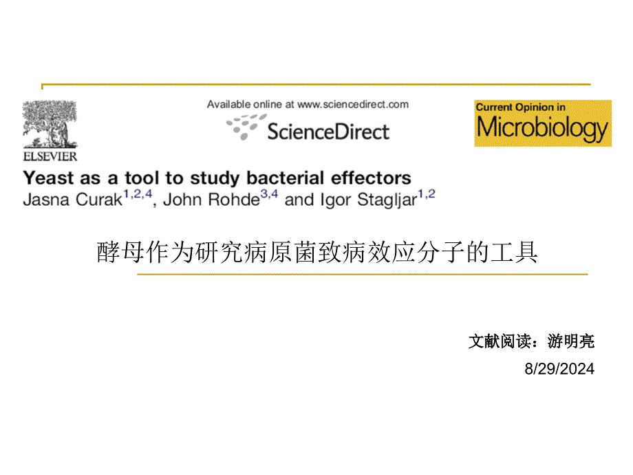 酵母作为研究病原菌致病效应分子的工具_第1页