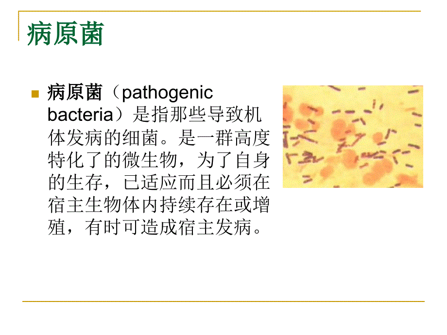 酵母作为研究病原菌致病效应分子的工具_第2页