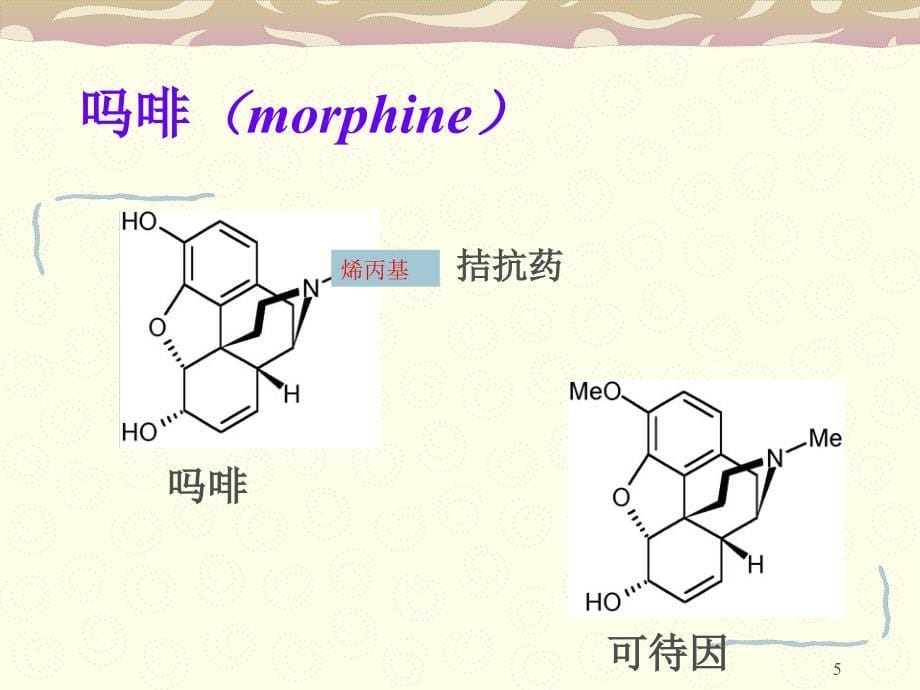 人工合成镇痛药PPT课件_第5页