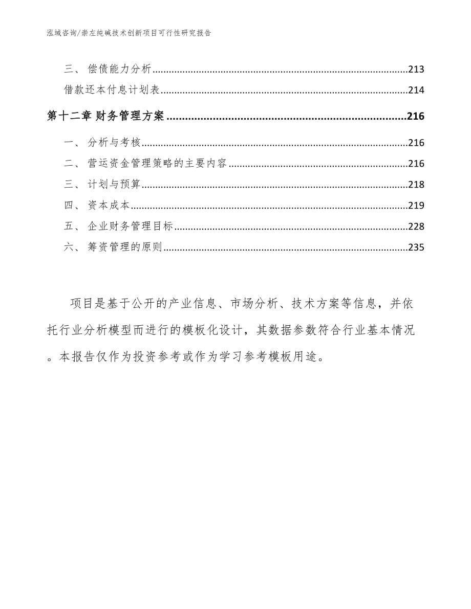 崇左纯碱技术创新项目可行性研究报告（范文）_第5页