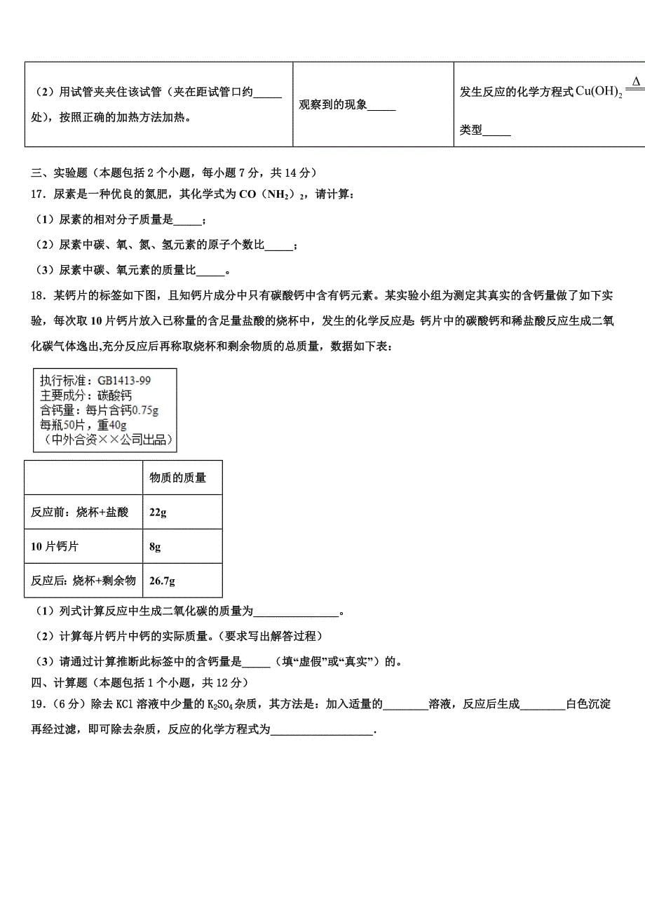 天津市2022-2023学年化学九年级第一学期期末监测试题含解析.doc_第5页