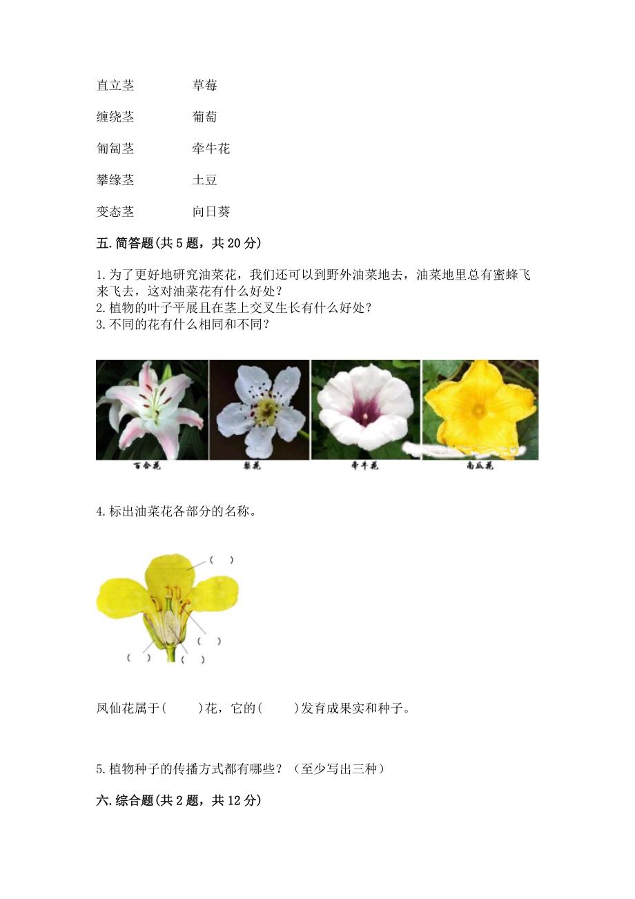 教科版科学四年级下册第1单元植物的生长变化测试卷附参考答案(综合卷).docx_第3页